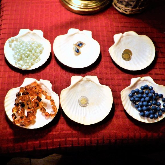 Set of (6) SEA SHELLS ~ Many Uses - Picture 1 of 3